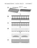 SOLUTION MICROARRAYS AND USES THEREOF diagram and image