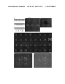 SOLUTION MICROARRAYS AND USES THEREOF diagram and image