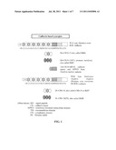 ENHANCEMENT OF BACILLUS THURINGIENSIS CRY PROTEIN TOXICITIES TO     COLEOPTERANS, AND NOVEL INSECT CADHERIN FRAGMENTS diagram and image