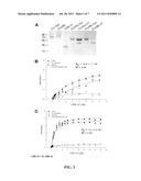 ENHANCEMENT OF BACILLUS THURINGIENSIS CRY PROTEIN TOXICITIES TO     COLEOPTERANS, AND NOVEL INSECT CADHERIN FRAGMENTS diagram and image