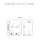 YOPM AS DELIVERY VEHICLE FOR CARGO MOLECULES AND AS BIOLOGICAL THERAPEUTIC     FOR IMMUNOMODULATION OF INFLAMMATORY REACTIONS diagram and image