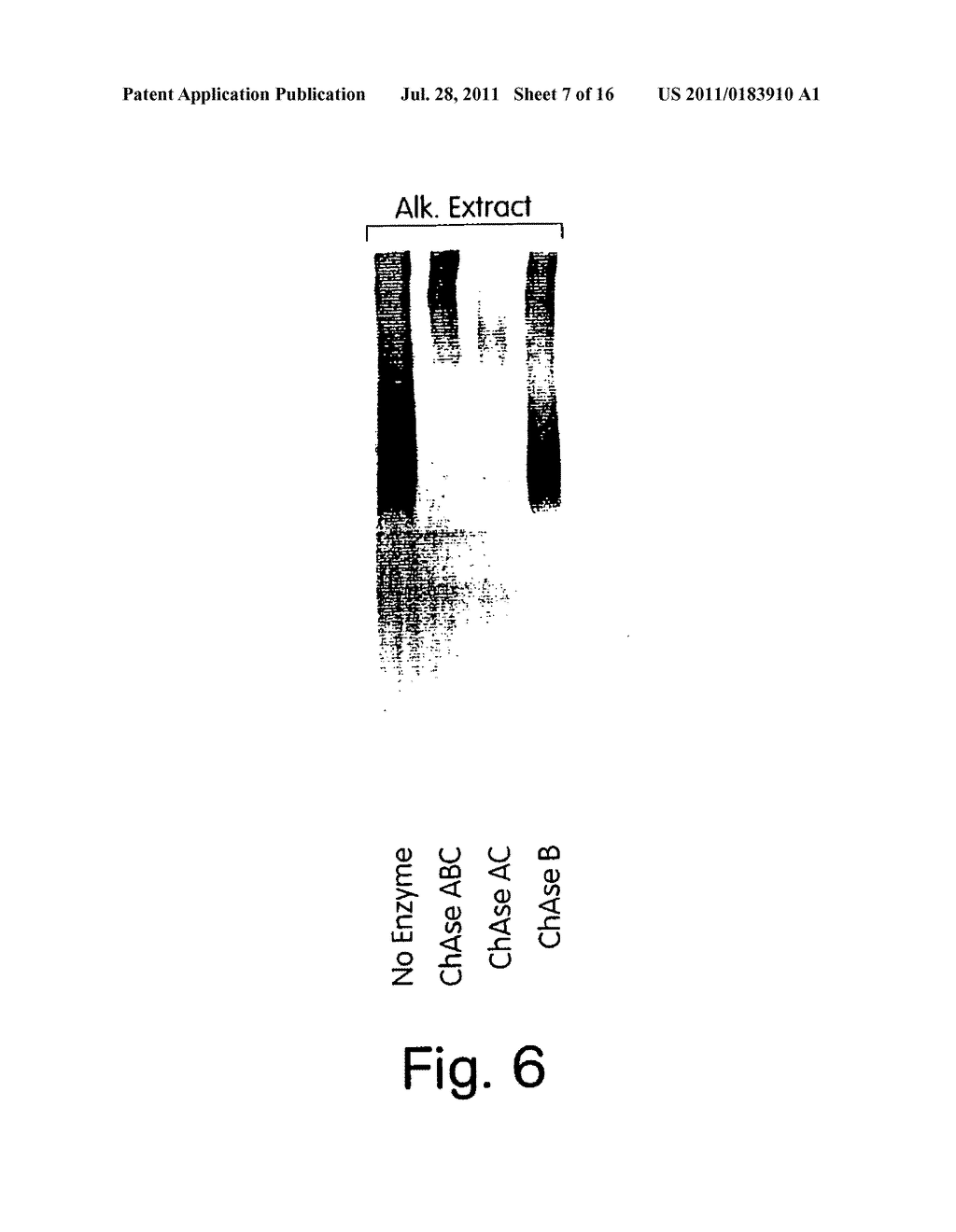 BIGLYCAN AND RELATED THERAPEUTICS AND METHODS OF USE - diagram, schematic, and image 08