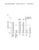 AGENT FOR PROMOTING NEURONAL DIFFERENTIATION AND METHOD THEREFOR diagram and image