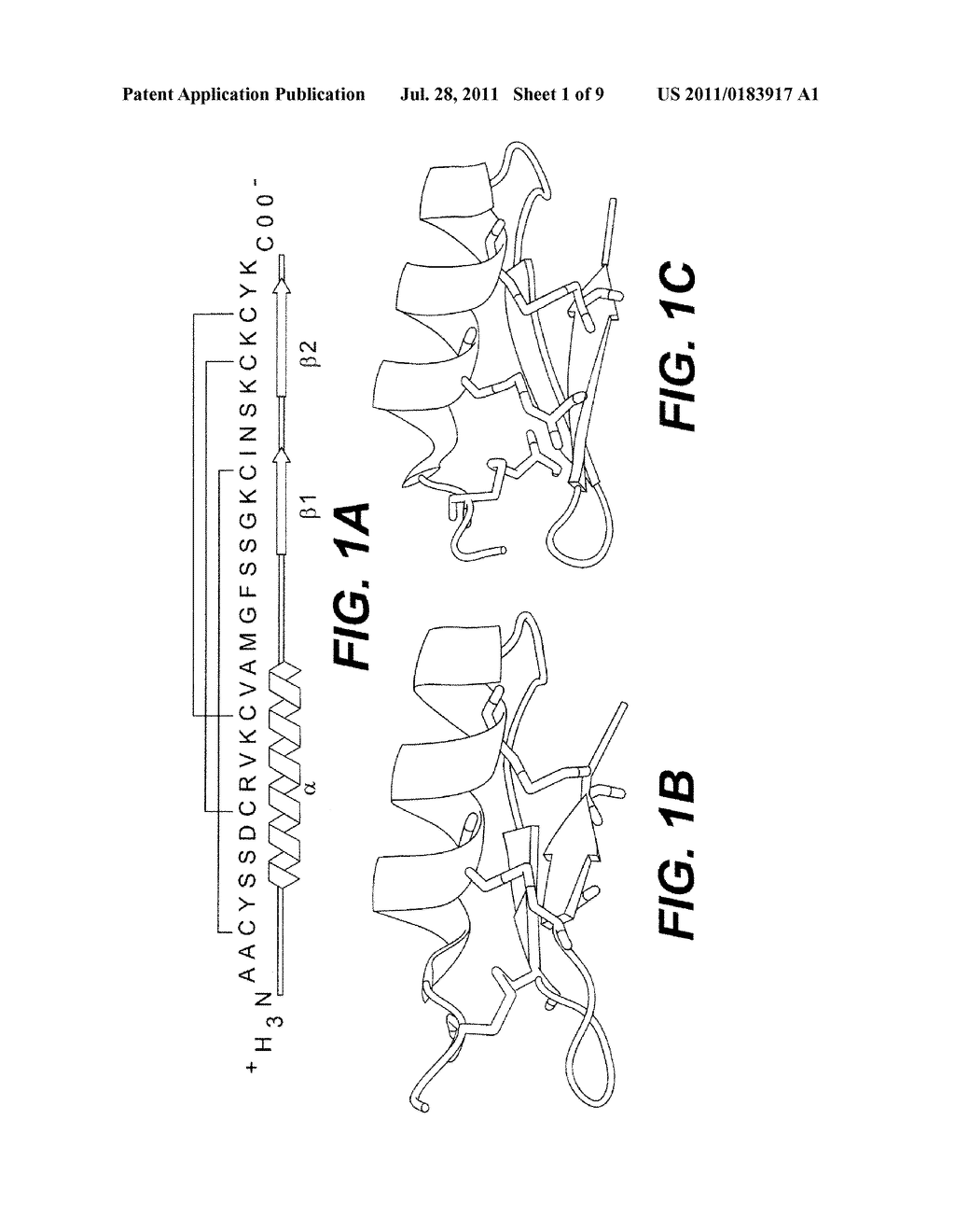 P53 Activator Peptides - diagram, schematic, and image 02
