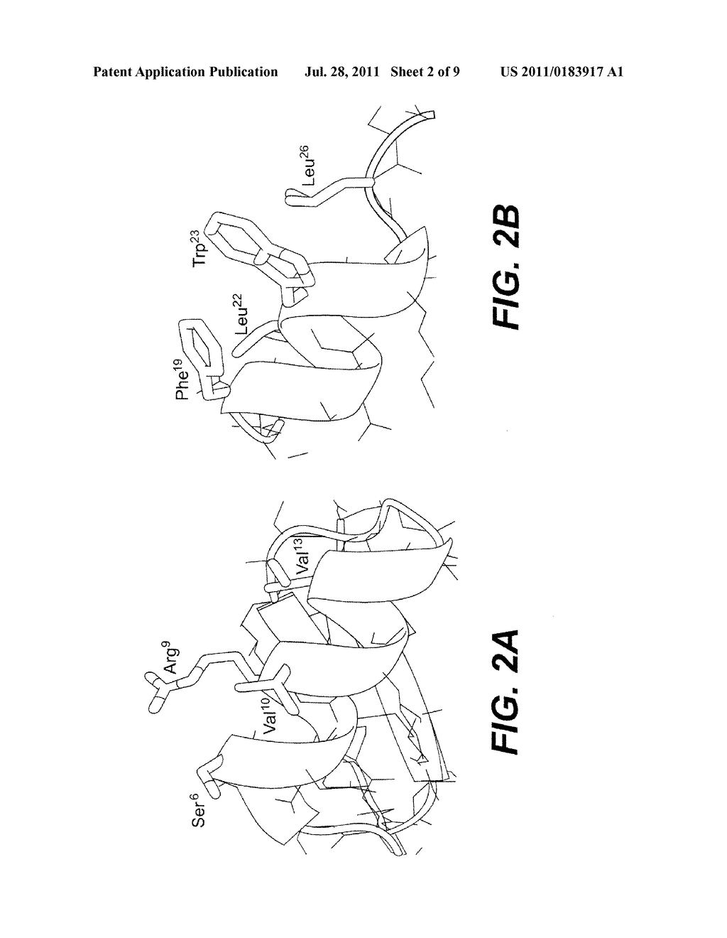 P53 Activator Peptides - diagram, schematic, and image 03