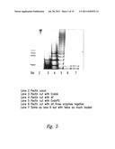 METHODS AND COMPOSITIONS TO IMPROVE GERM CELL AND EMBRYO SURVIVAL AND     FUNCTION diagram and image