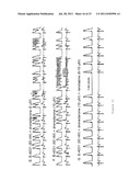 METHOD OF TREATING ATRIAL FIBRILLATION diagram and image