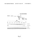 INHIBITORS OF BRUTON S TYROSINE KINASE diagram and image