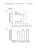 METHOD OF TREATING HEPATIC DISEASE USING A2B ADENOSINE RECEPTOR     ANTAGONISTS diagram and image