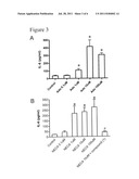 METHOD OF TREATING HEPATIC DISEASE USING A2B ADENOSINE RECEPTOR     ANTAGONISTS diagram and image