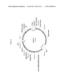 DELTA-8 DESATURASE AND ITS USE IN MAKING POLYUNSATURATED FATTY ACIDS diagram and image