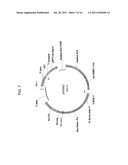 DELTA-8 DESATURASE AND ITS USE IN MAKING POLYUNSATURATED FATTY ACIDS diagram and image