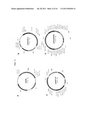 DELTA-8 DESATURASE AND ITS USE IN MAKING POLYUNSATURATED FATTY ACIDS diagram and image