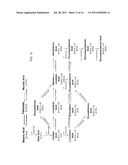 DELTA-8 DESATURASE AND ITS USE IN MAKING POLYUNSATURATED FATTY ACIDS diagram and image