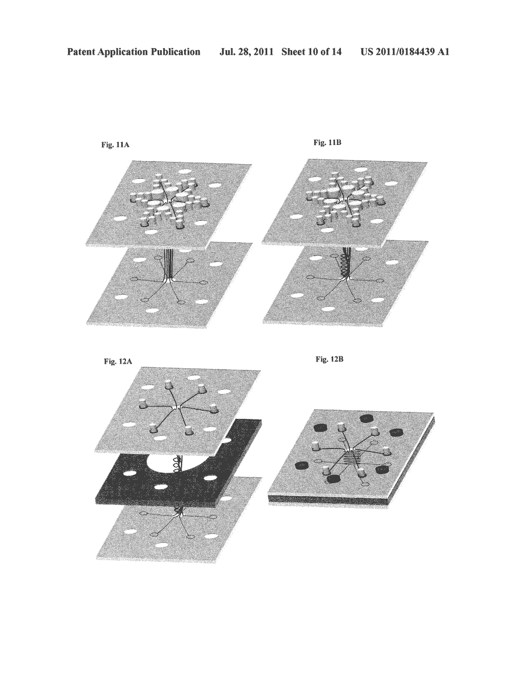 Biological Matrix for Cardiac Repair - diagram, schematic, and image 11