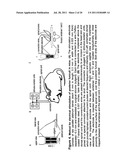 METHOD OF TREATING PARKINSON S DISEASE AND OTHER MOVEMENT DISORDERS diagram and image