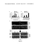 METHOD OF TREATING PARKINSON S DISEASE AND OTHER MOVEMENT DISORDERS diagram and image