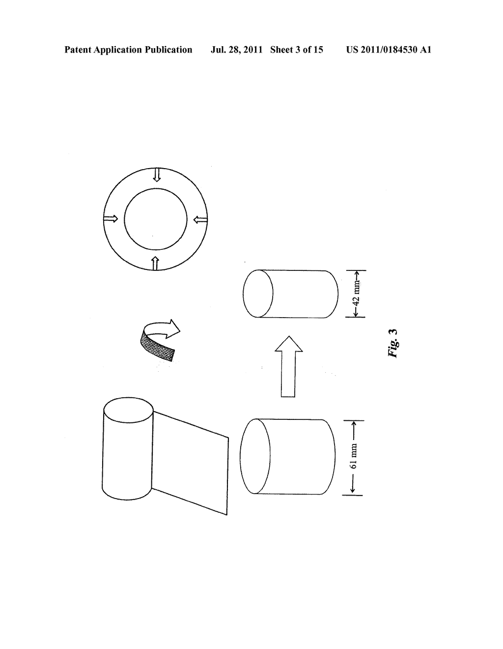 High performance reticulated elastomeric matrix preparation, properties,     reinforcement, and use in surgical devices, tissue augmentation and/or     tissue repair - diagram, schematic, and image 04