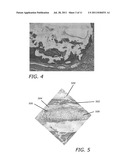 OPEN CELLED FOAMS, IMPLANTS INCLUDING THEM AND PROCESSES FOR MAKING SAME diagram and image