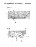 OPEN CELLED FOAMS, IMPLANTS INCLUDING THEM AND PROCESSES FOR MAKING SAME diagram and image