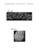 OPEN CELLED FOAMS, IMPLANTS INCLUDING THEM AND PROCESSES FOR MAKING SAME diagram and image