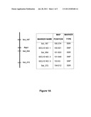 MARKERS ASSOCIATED WITH SOYBEAN RUST RESISTANCE AND METHODS OF USE     THEREFOR diagram and image