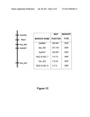 MARKERS ASSOCIATED WITH SOYBEAN RUST RESISTANCE AND METHODS OF USE     THEREFOR diagram and image