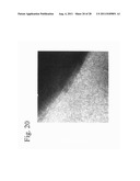 Fine Composite Metal Particles and Their Production Method, Micro-Bodies,     and Magnetic Beads diagram and image