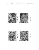 METHODS OF CONTROLLING NANOSTRUCTURE FORMATIONS AND SHAPES diagram and image