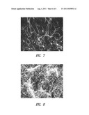 METHODS OF CONTROLLING NANOSTRUCTURE FORMATIONS AND SHAPES diagram and image