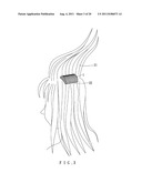 Hair Ornament diagram and image