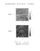 METHOD OF PRODUCING A CARBON NANOTUBE FRAGMENT diagram and image