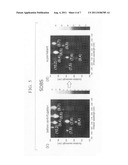 Nanocarbon material dispersion, method for producing the same, and     nanocarbon material structure diagram and image