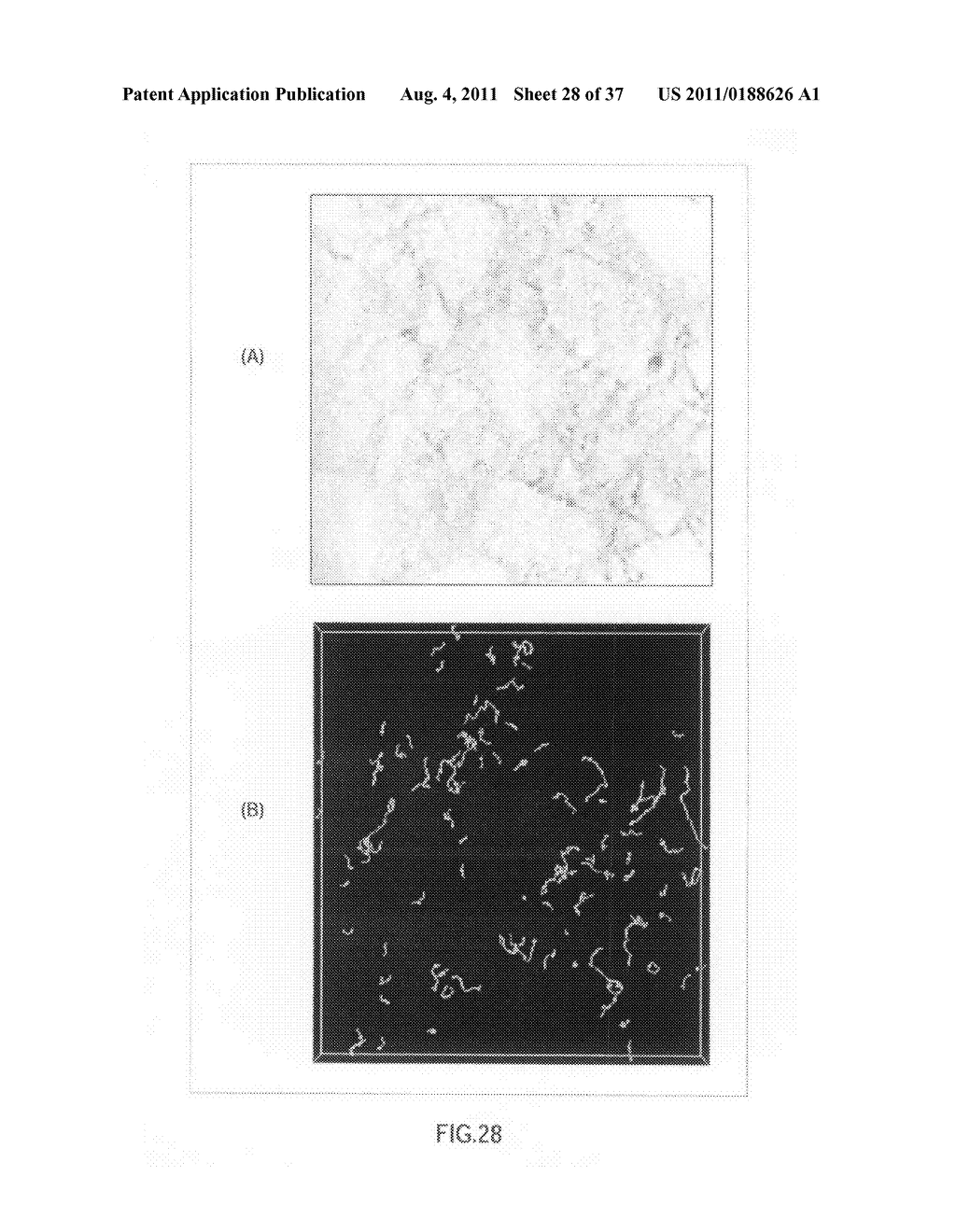 Damage Evaluation Apparatus, and Damage Evaluation Method - diagram, schematic, and image 29