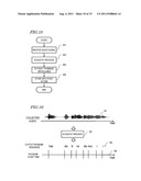 DEVICE, METHOD, AND PROGRAM FOR ADJUSTMENT OF HEARING AID diagram and image