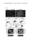 METHODS OF GENERATING TROPHECTODERM AND NEURECTODERM FROM HUMAN EMBRYONIC     STEM CELLS diagram and image