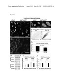 METHODS OF GENERATING TROPHECTODERM AND NEURECTODERM FROM HUMAN EMBRYONIC     STEM CELLS diagram and image