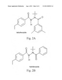 Use of Molt-Accelerating Compounds, Ecdysteroids, Analogs Thereof, and     Chitin Synthesis Inhibitors for Controlling Termites diagram and image