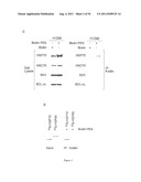 Modulators of HSP70/DnaK Function and Methods of Use Thereof diagram and image