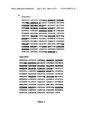 Modulators of HSP70/DnaK Function and Methods of Use Thereof diagram and image