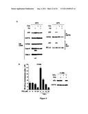 Modulators of HSP70/DnaK Function and Methods of Use Thereof diagram and image