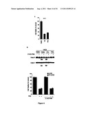 Modulators of HSP70/DnaK Function and Methods of Use Thereof diagram and image