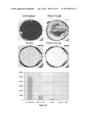 Modulators of HSP70/DnaK Function and Methods of Use Thereof diagram and image