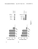 METHOD FOR GENERATION AND REGULATION OF IPS CELLS AND COMPOSITIONS THEREOF diagram and image