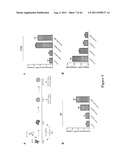 METHOD FOR GENERATION AND REGULATION OF IPS CELLS AND COMPOSITIONS THEREOF diagram and image