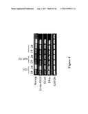 METHOD FOR GENERATION AND REGULATION OF IPS CELLS AND COMPOSITIONS THEREOF diagram and image