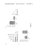 METHOD FOR GENERATION AND REGULATION OF IPS CELLS AND COMPOSITIONS THEREOF diagram and image