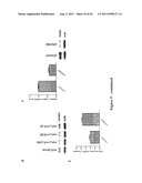 METHOD FOR GENERATION AND REGULATION OF IPS CELLS AND COMPOSITIONS THEREOF diagram and image