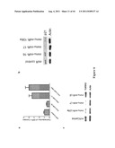 METHOD FOR GENERATION AND REGULATION OF IPS CELLS AND COMPOSITIONS THEREOF diagram and image