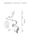 METHOD FOR GENERATION AND REGULATION OF IPS CELLS AND COMPOSITIONS THEREOF diagram and image